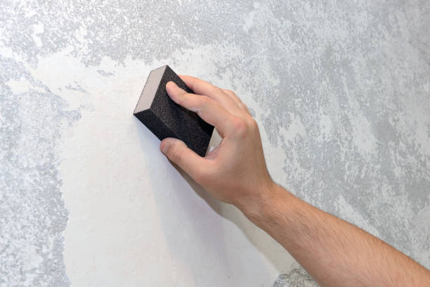 Reliable Bosque Farms, NM Mold Removal Solutions
