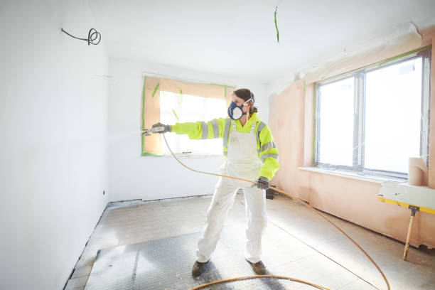 Best Mold Odor Removal Services  in Bosque Farms, NM