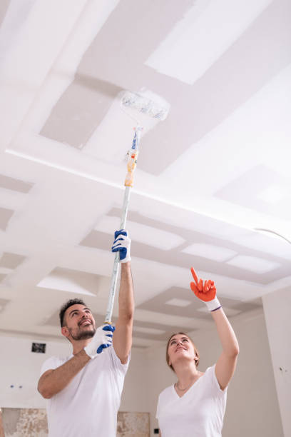 Best Mold Remediation for Rental Properties  in Bosque Farms, NM